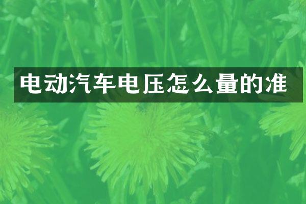 电动汽车电压怎么量的准