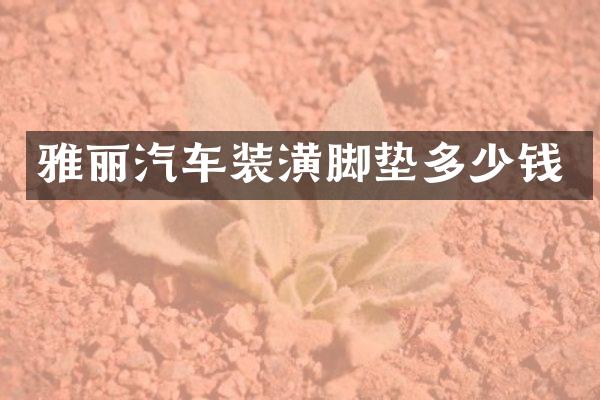 雅丽汽车装潢脚垫多少钱