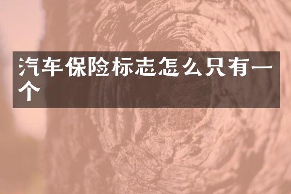 汽车保险标志怎么只有一个