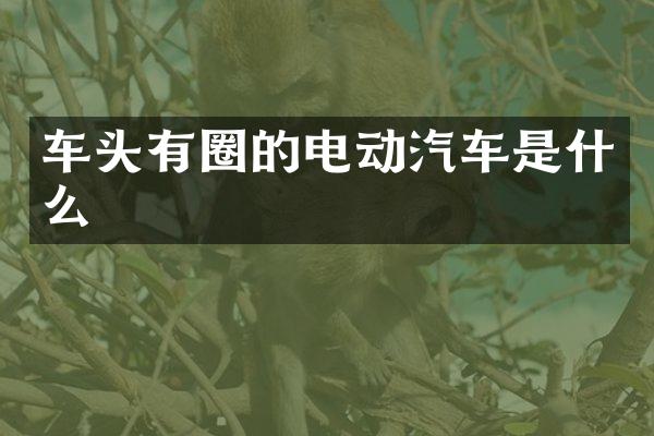 车头有圈的电动汽车是什么