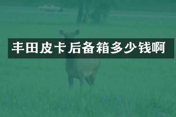 丰田皮卡后备箱多少钱啊