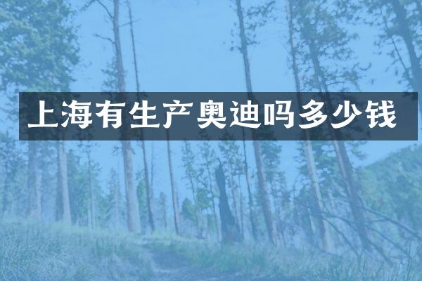 上海有生产奥迪吗多少钱