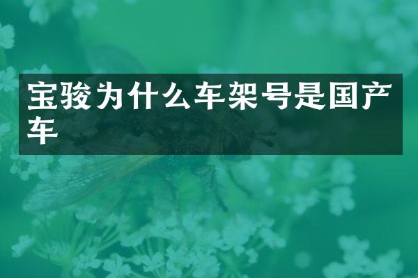 宝骏为什么车架号是国产车