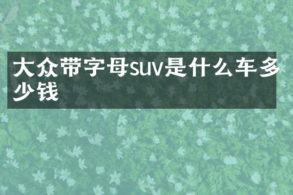 大众带字母suv是什么车多少钱