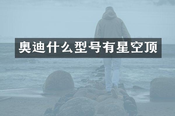 奥迪什么型号有星空顶