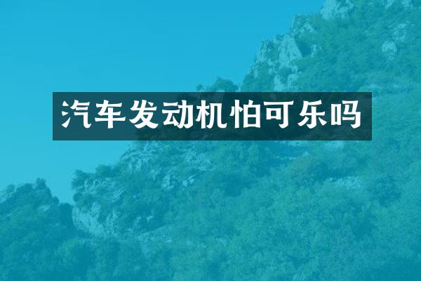 汽车发动机怕可乐吗