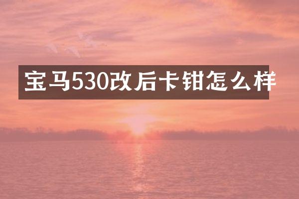 宝马530改后卡钳怎么样