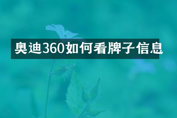 奥迪360如何看牌子信息