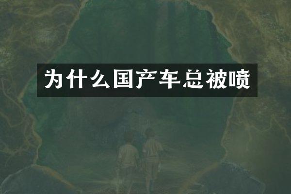 为什么国产车总被喷