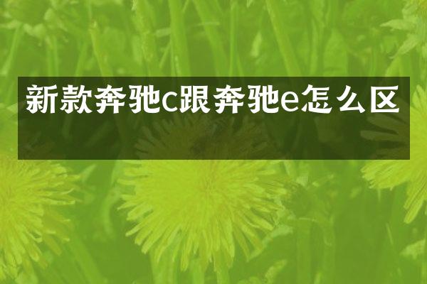 新款奔驰c跟奔驰e怎么区分
