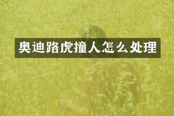 奥迪路虎撞人怎么处理