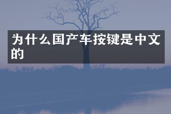为什么国产车按键是中文的