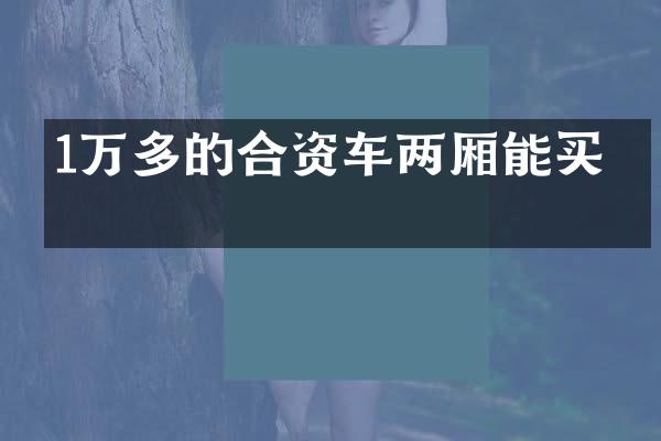 1万多的合资车两厢能买吗