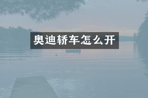 奥迪轿车怎么开