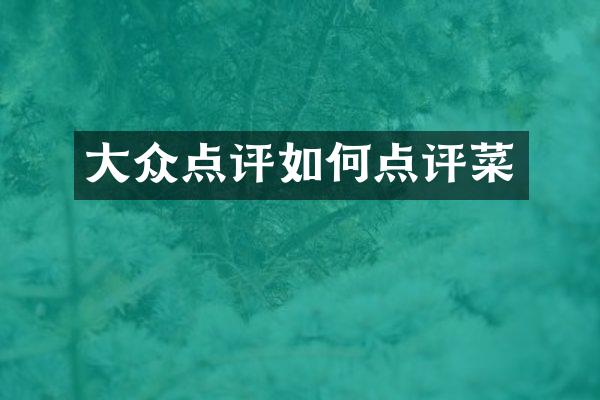 大众点评如何点评菜