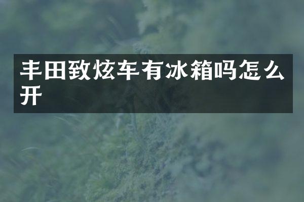 丰田致炫车有冰箱吗怎么开