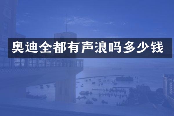 奥迪全都有声浪吗多少钱