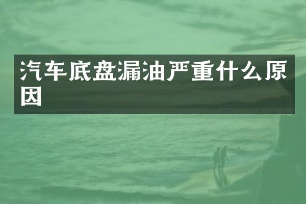 汽车底盘漏油严重什么原因