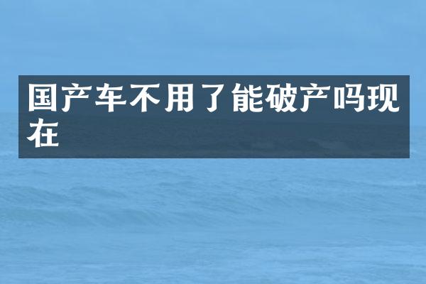 国产车不用了能破产吗现在