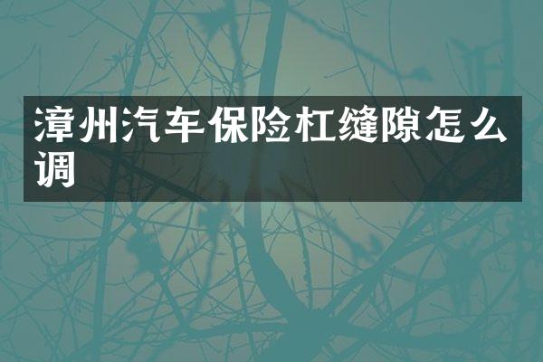漳州汽车保险杠缝隙怎么调
