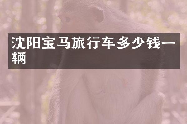 沈阳宝马旅行车多少钱一辆