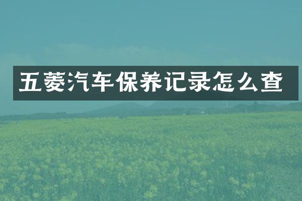 五菱汽车保养记录怎么查