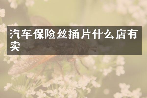汽车保险丝插片什么店有卖