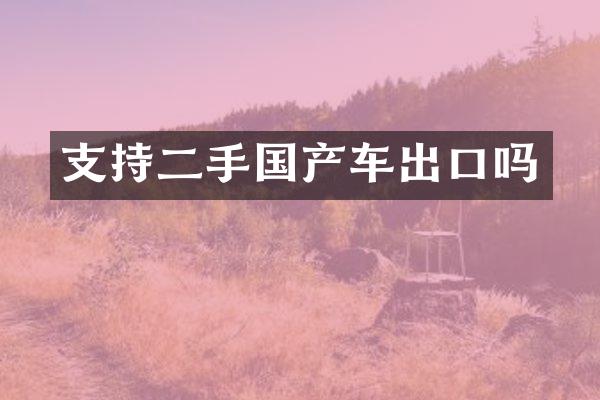 支持二手国产车出口吗