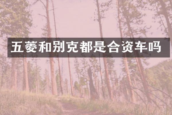 五菱和别克都是合资车吗