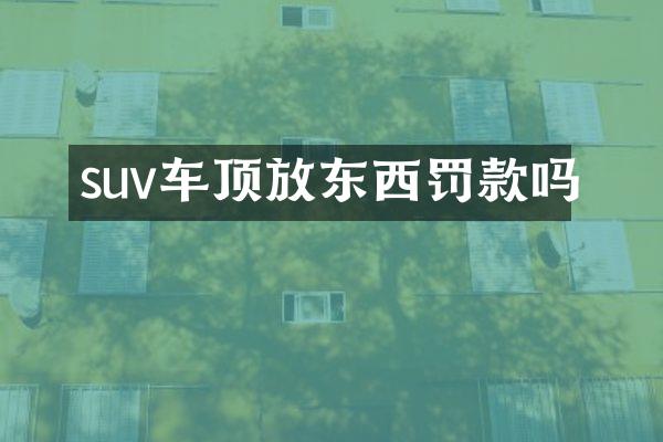 suv车顶放东西罚款吗
