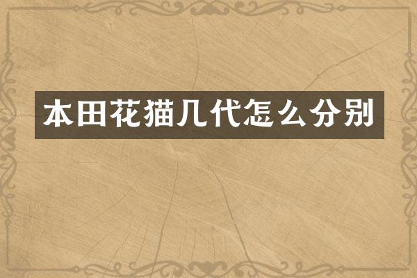 本田花猫几代怎么分别