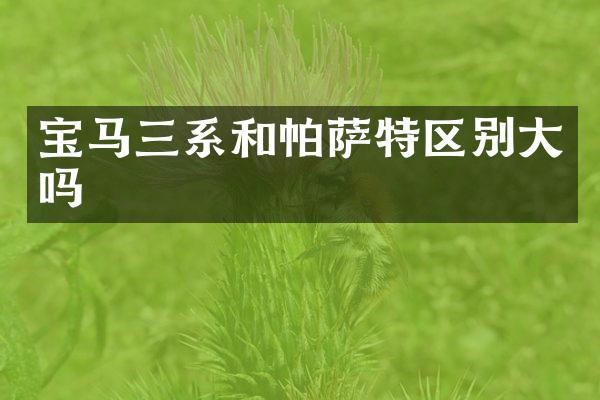 宝马三系和帕萨特区别大吗