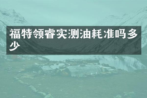 福特领睿实测油耗准吗多少