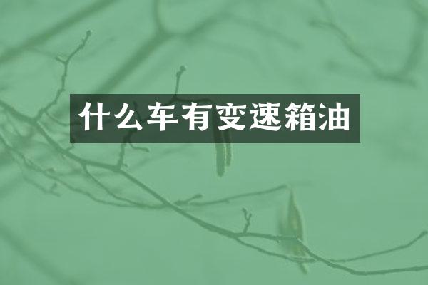 什么车有变速箱油