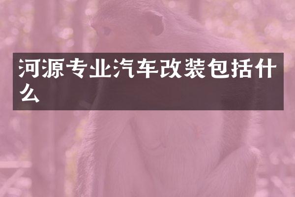 河源专业汽车改装包括什么