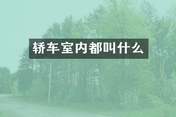 轿车室内都叫什么