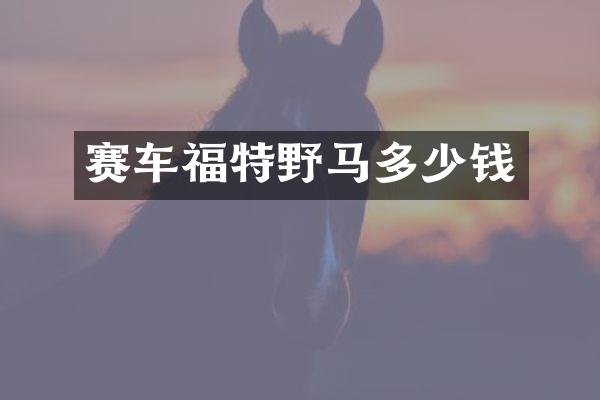 赛车福特野马多少钱