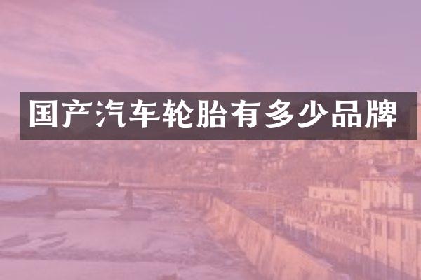 国产汽车轮胎有多少品牌