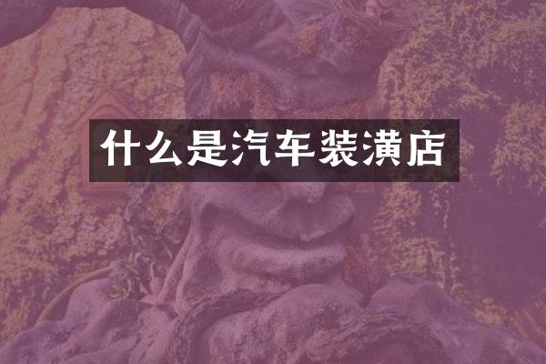什么是汽车装潢店