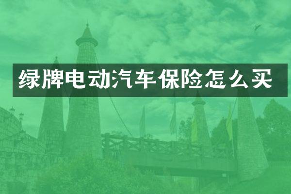 绿牌电动汽车保险怎么买