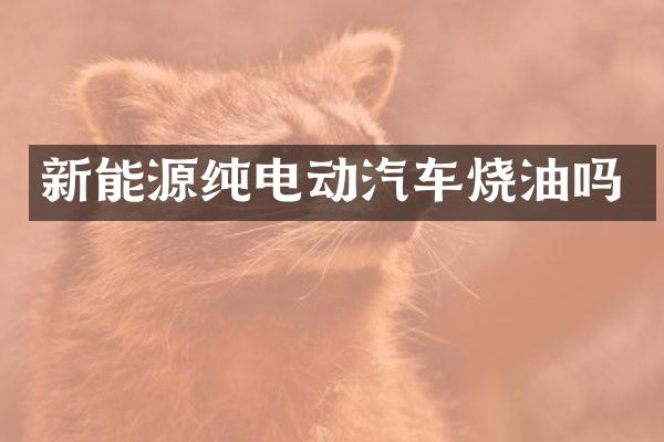 新能源纯电动汽车烧油吗