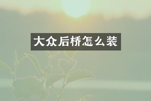 大众后桥怎么装