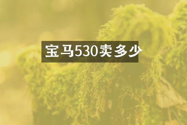 宝马530卖多少