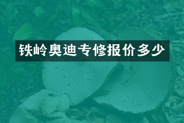 铁岭奥迪专修报价多少