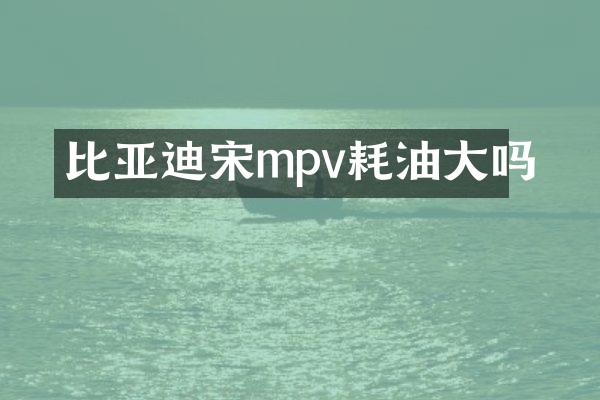 比亚迪宋mpv耗油大吗