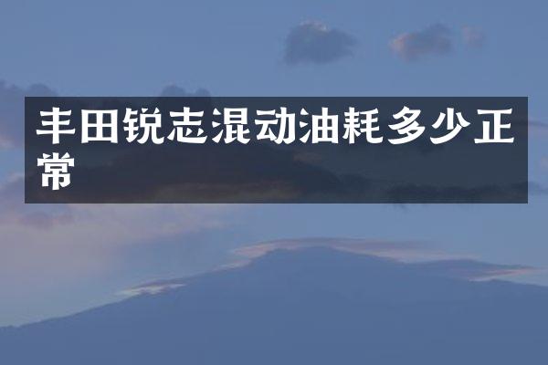 丰田锐志混动油耗多少正常