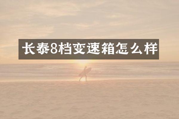长泰8档变速箱怎么样