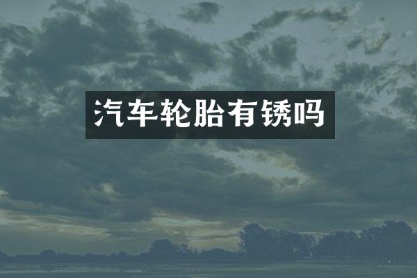 汽车轮胎有锈吗