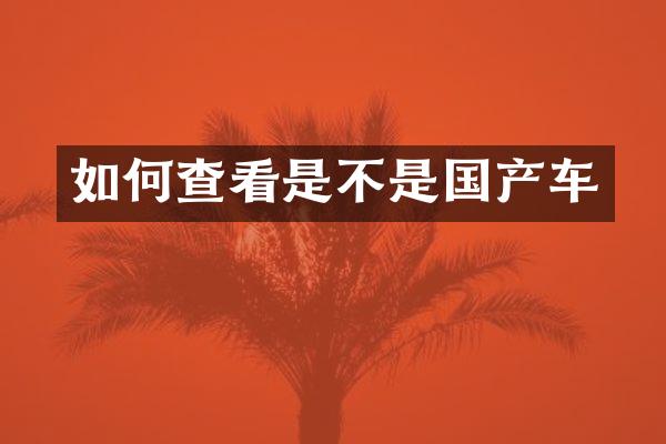 如何查看是不是国产车