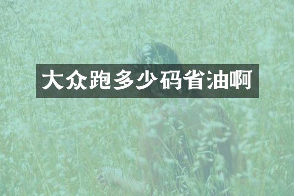 大众跑多少码省油啊